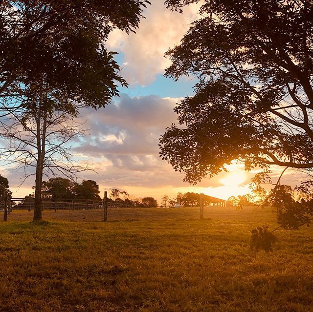 kusashoes's tweet photo. Somersby #sunset. Back from a #walk and #bbq at Strickland forest. Lovely time of day. #farm #grass #trees #clouds #evening https://t.co/GWWY3eyeEA #kusashoes_, #flipflops, #summer, #fun, #gift, #beach,@kusashoes_#nature #sky #sun #summer #beach #beautiful #pretty #blue #flower… https://t.co/c0WWhW2er4