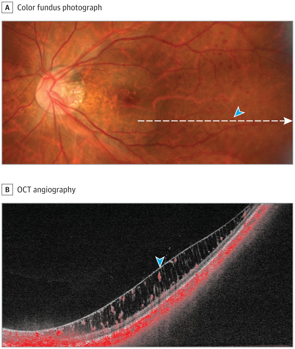 David Almeida MD tweet media