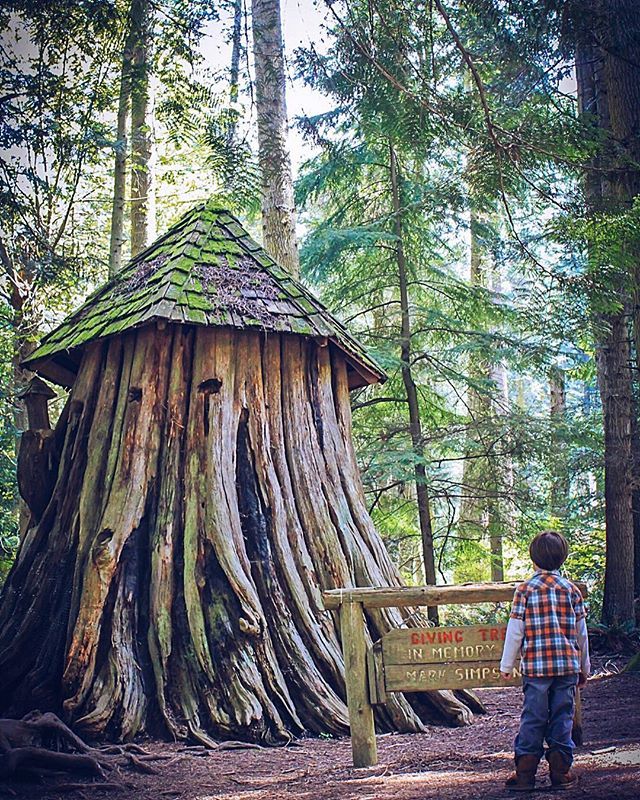 J5MM_Blog's tweet image. “. . . and she loved a little boy very, very much—even more than she loved herself” ift.tt/2OPeSin