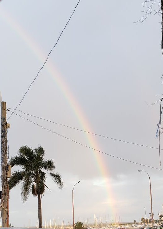 OPetinatti's tweet photo. Tarde de domingo. #Montevideo. #Genesis916 https://t.co/ZMMA6enDBI