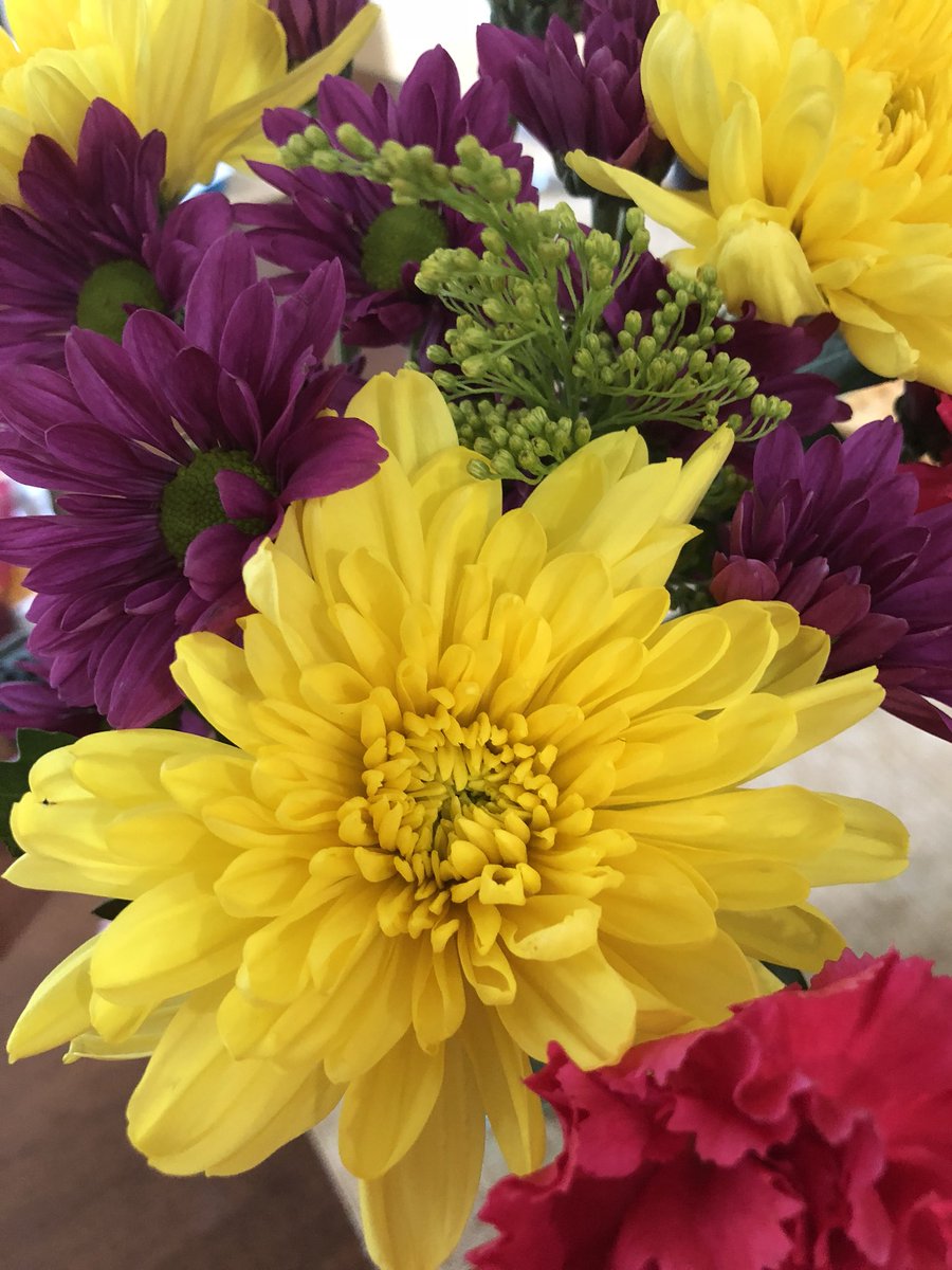 MrsOvertonNC's tweet photo. Because @KC_McLaughlin is the best! #birthdayflowers #favoriteneighbors https://t.co/0km5qnQEbO