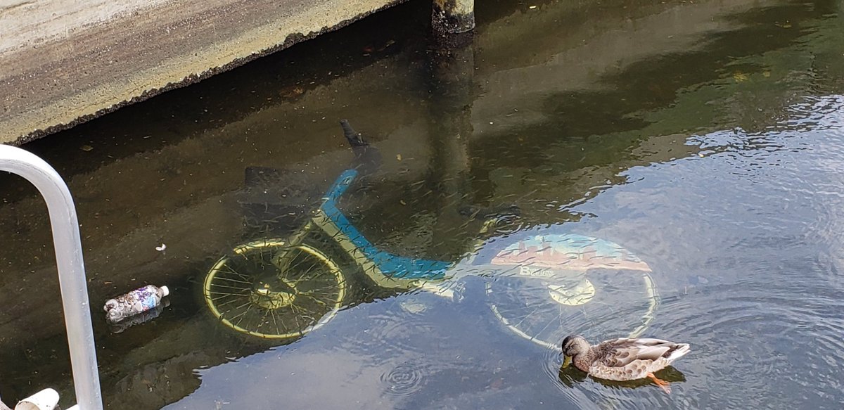 jemillerbalt's tweet photo. Whoever is gathering up Bike Share bikes, this one is in the water near the Pendry in Fells Pt. Ducks and fish would appreciate it https://t.co/Nli2TevUCs
