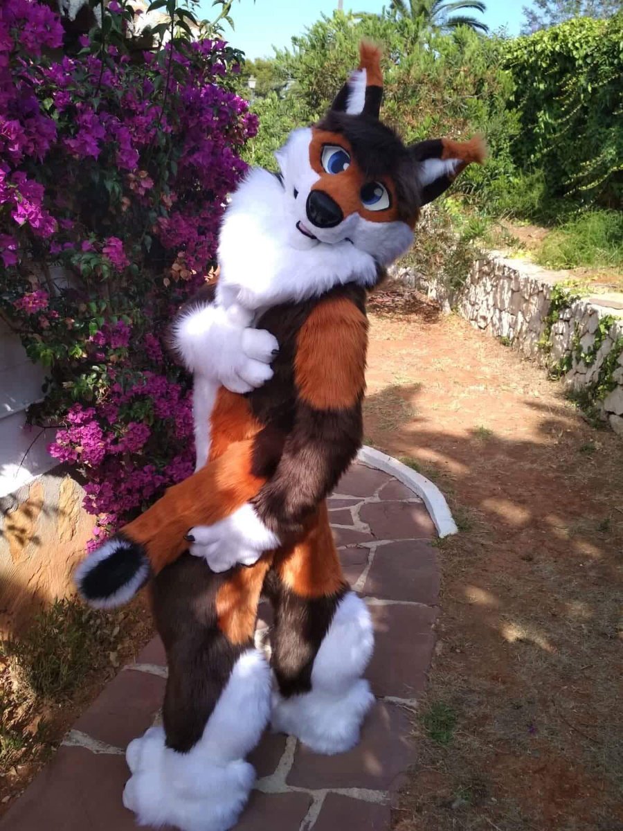 MeiFursuits's tweet photo. Welcome! I’m Mei Fursuits, a single person fursuit business with a passion for crafting/building and helping bring characters to life. 

🧡 Website: https://t.co/RBjqRFgveX

💛 Patreon: https://t.co/0TOF12GXVx

Information on prices, quotes, queue etc are found on my website <3 https://t.co/uly8RTNM3H