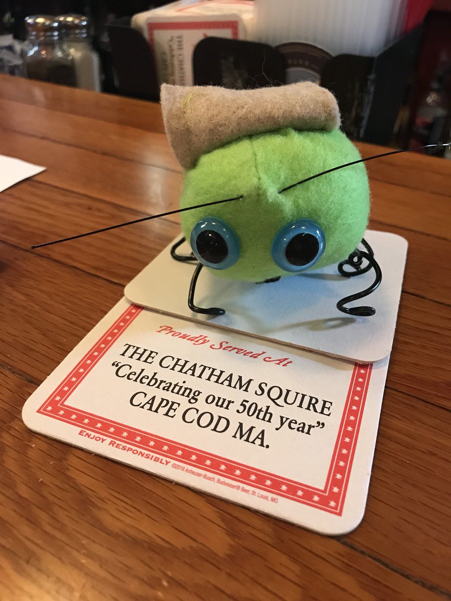 ZajacSLP's tweet photo. #EllieMinnelliBug celebrating @ChathamSquire’s 50th with a friendly #GreatWhite pal on this slightly overcast Sunday afternoon. #BringTheBug #LoveTheBug https://t.co/KcjKpOEAfJ