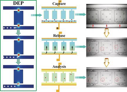 the hydrogen atom proceedings of the symposium held in pisa italy june