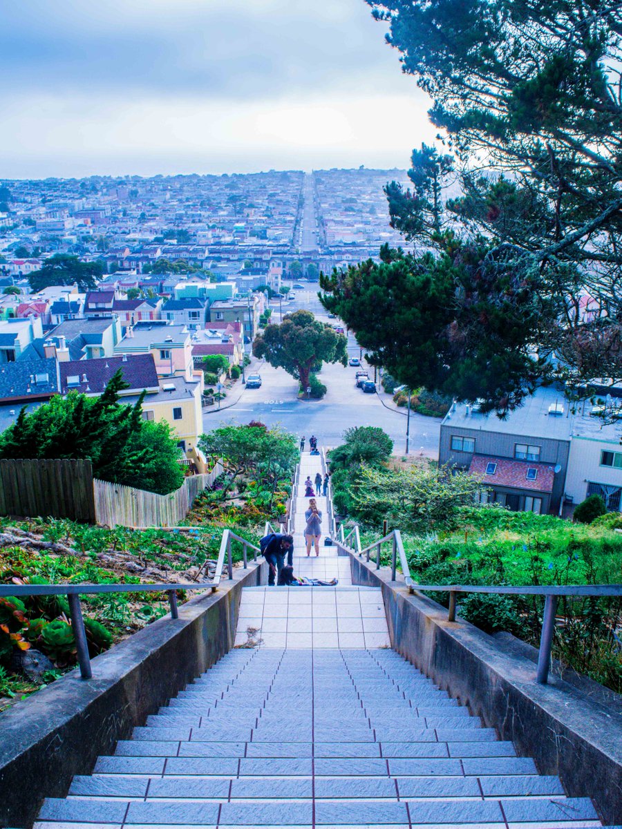 scenicpath's tweet photo. #SanFrancisco, CA - Looking down on the world from the top of the Moraga Steps
Come follow my journey thru my lens at the Instagram link below where I post my latest photos every week!
>>> https://t.co/OZyhpSjeNd
#travel #wanderlust #explore #landscape #adventure #scenicpath https://t.co/aywSXrb7Bh
