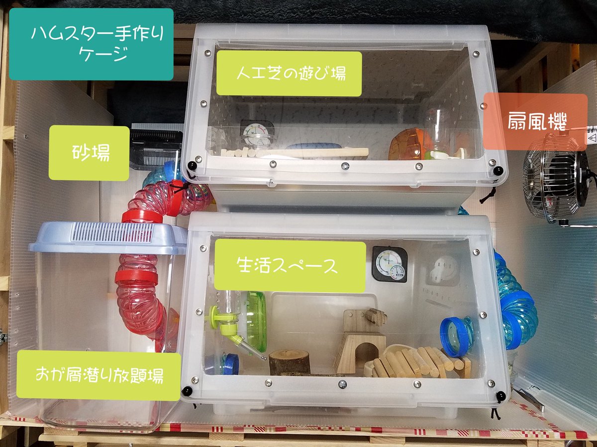 Timothy 志保 على تويتر 衣装ケースの両側面 上段の天井に空気あなを等間隔に6 5ミリドリルで沢山開けるのに苦労しました 1回開ける度にドリルひプラスチックが巻き付くんです ハムスター 手作りケージ ロボロフスキー ロボロフスキーケージ