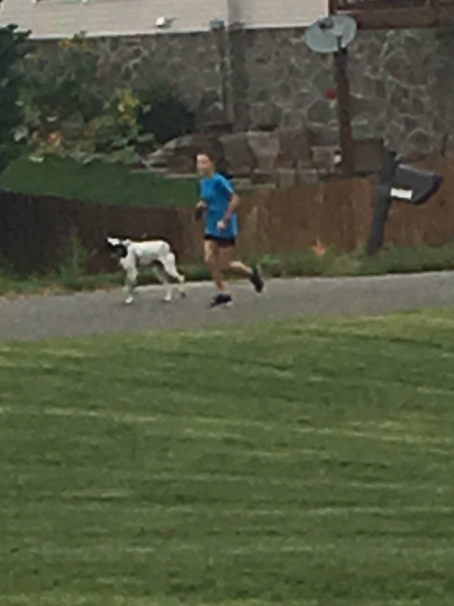coachmarkwhite's tweet image. Class of 2023 going for her weekend 20 minute run with her dog. 😊#crosscountrytraining #coachesdaughter