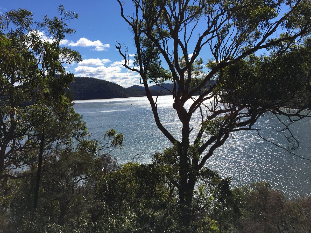 That was a big weekend! Saturday, Vue.js Workshop for #NodeGirls. Sunday, firefighting in a pretty remote part of NSW, by boat. Pretty sure I didn’t sit down once :p