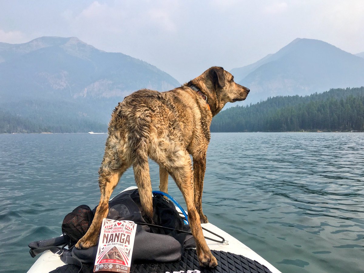Our friend Lola in the Promised Land. #NangaAdventures #HollandLake #Montana