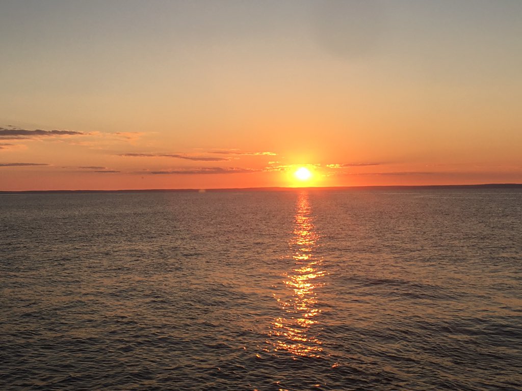 CoachRitter_MHS's tweet photo. #MHSSummerChallenge Good bye Summer 2018! It's going to be an exciting year at Magnolia High School! Can't wait! #ALLIN https://t.co/9nIHy8L1We
