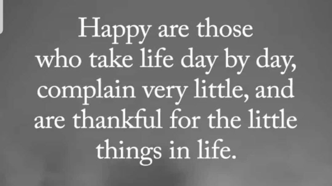 Take life day by day, complain less and be thankful for the small things in life #happiness #smallthingsinlife #thankful #PositiveVibes #BeHappy #SundayThoughts