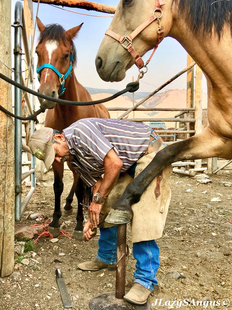 JLazyS Chyenne tweet media