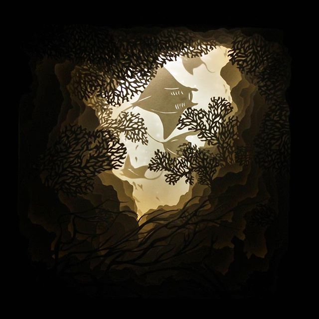 BadgerB_Studios's tweet photo. I love creating underwater pieces and I love how “Reef Watchers” makes me feel like I’m looking up through a window to another world.
This original piece is available in my #etsy store! https://t.co/VpGe7NbCYL
.
.
.
#dreambox #badgerburrowdreamboxes #ma… https://t.co/OoXU9VjIPg https://t.co/Bk5bPh02uO