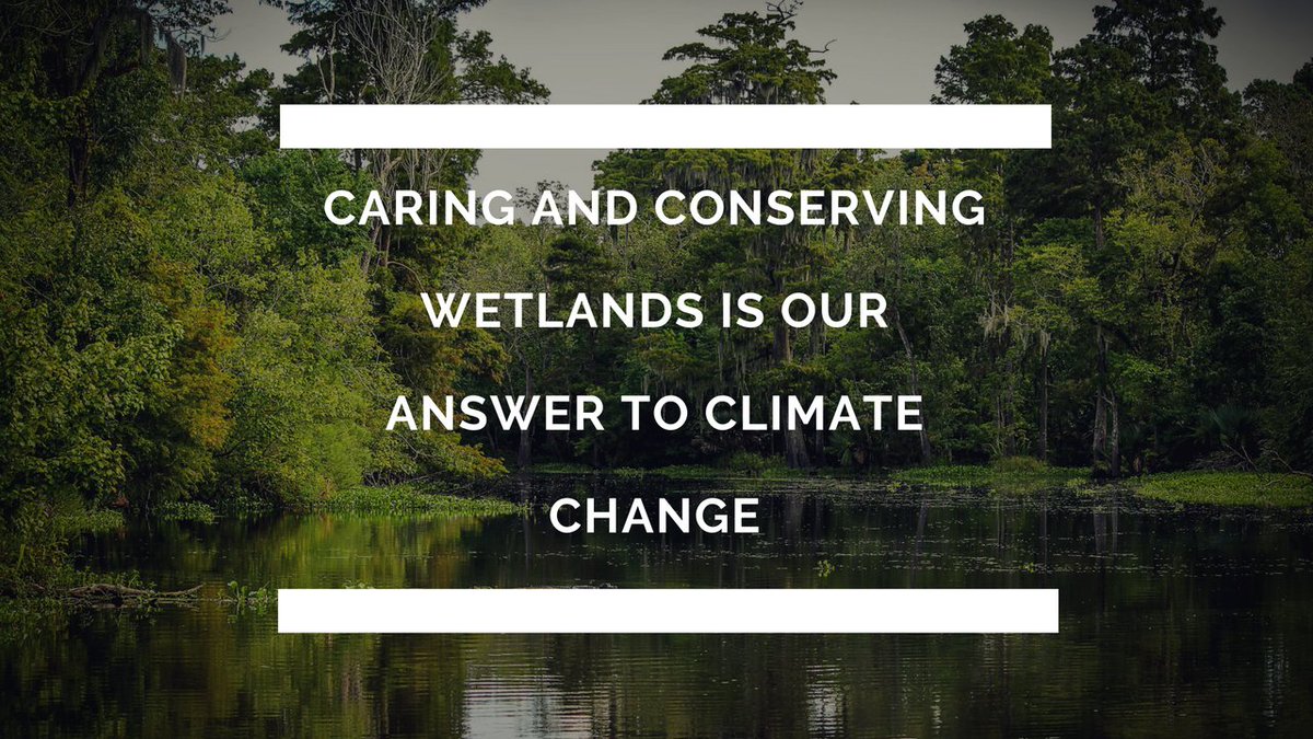 #SDGs 
<a href="/MimansaBhardwa2/">Mimansa Bhardwaj</a> 
<a href="/jbhagwagar/">Jamshed Bhagwagar 🇮🇳</a>