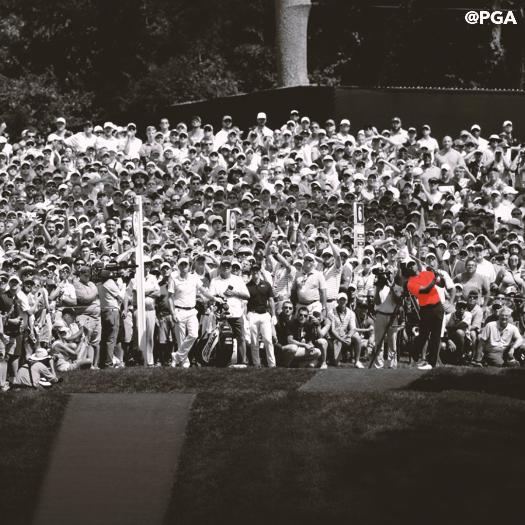 Congrats to the alex pierson pokethebearsnn on your wedding