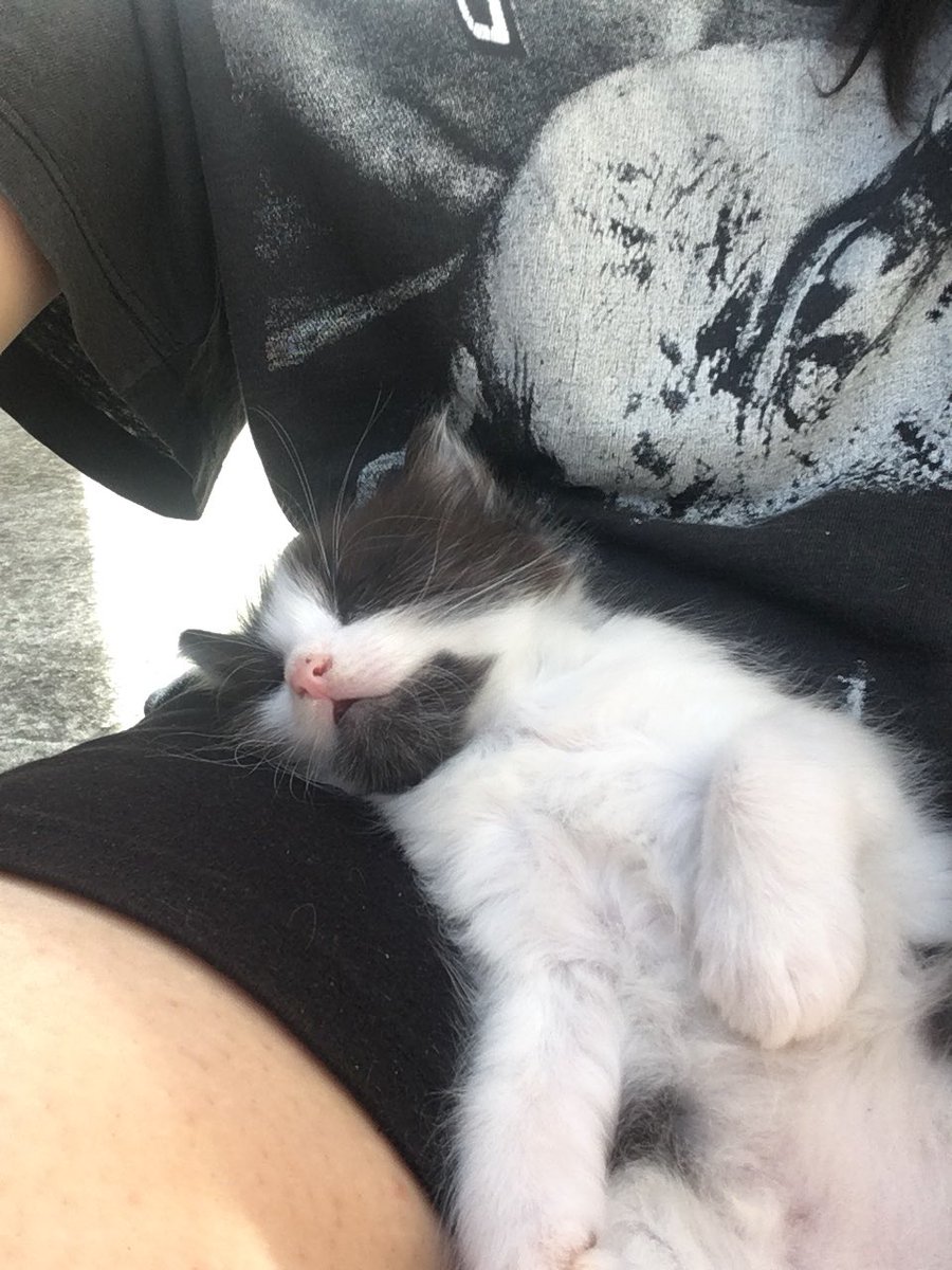_tempusfrangit's tweet photo. Floof https://t.co/IKn1anYBVq