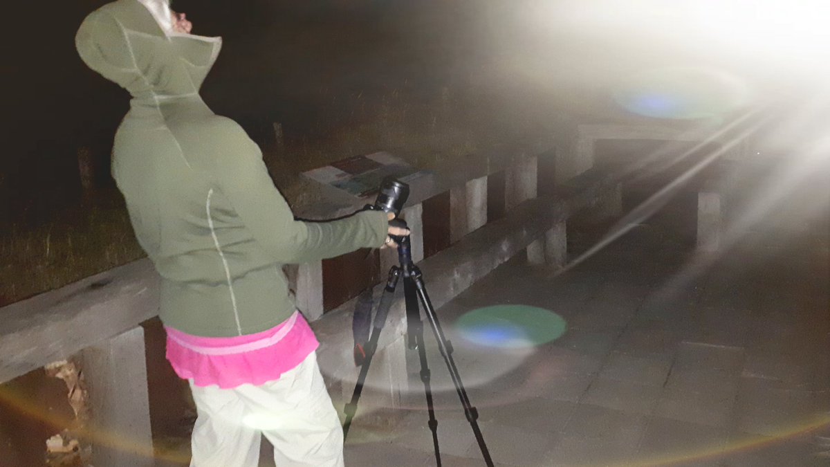 Onze week als vrijwillige vogelwachter in #de_slufter zit er helaas weer op. Wat hebben wij genoten van de fauna en flora in het gebied van #NPTexel en de leuke kontakten met de medewerkers van #staatsbosbeheer en de bezoekers. De laatste nacht met vallende sterren was bijzonder.