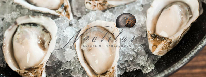 s_cellars's tweet photo. What tastes better than Oysters &amp; Bubbles…. Nothing!! Join us @PopBrixton this Friday for £1 oysters &amp; FREE @NautilusEstate   wine samples on the go, but better still @NautilusClive will be pouring! There'll be a DJ, summer vibes &amp; #nzwine #oysters #summervibes #onlymarlborough https://t.co/tizy8vnF7F