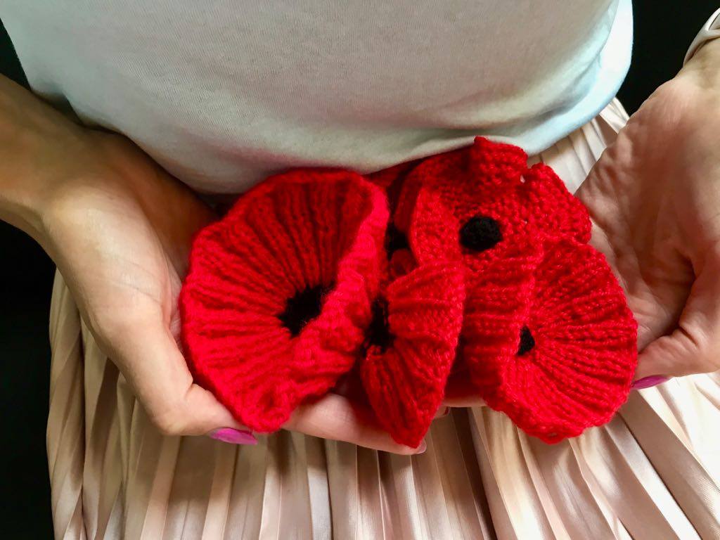 Calling all knitters, your library needs you! We need 10,000 knitted poppies for a display commemorating the centenary of World War 1! One for each service man and woman who lost their life in service to their country. Find more info on how to get involved thehiveworcester.org/events.html
