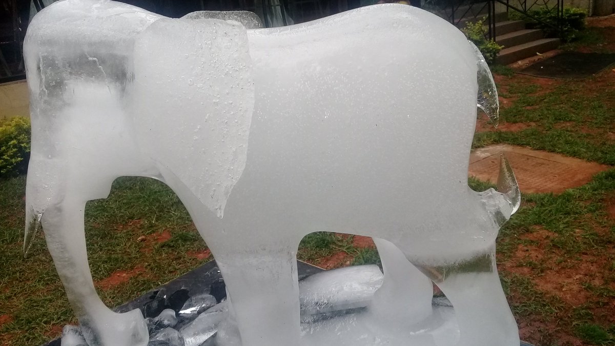 wildlifedirect's tweet photo. The elephant ice sculpture's tail is beginning to disappear. We wouldn't want a future without elephants. Spread the message #DontLetThemDisappear #WorldElephantDay https://t.co/JPoUrGMKQo