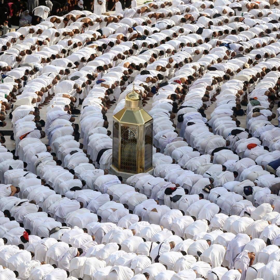 Bdoor_AT's tweet photo. اللهم أعِن الحجَّاج على حجَّهم ويسّر💛

لهم طاعتهم وارزقهم تمامها وقبولها♥️

@B_A_TT https://t.co/AVfcaIoZnn