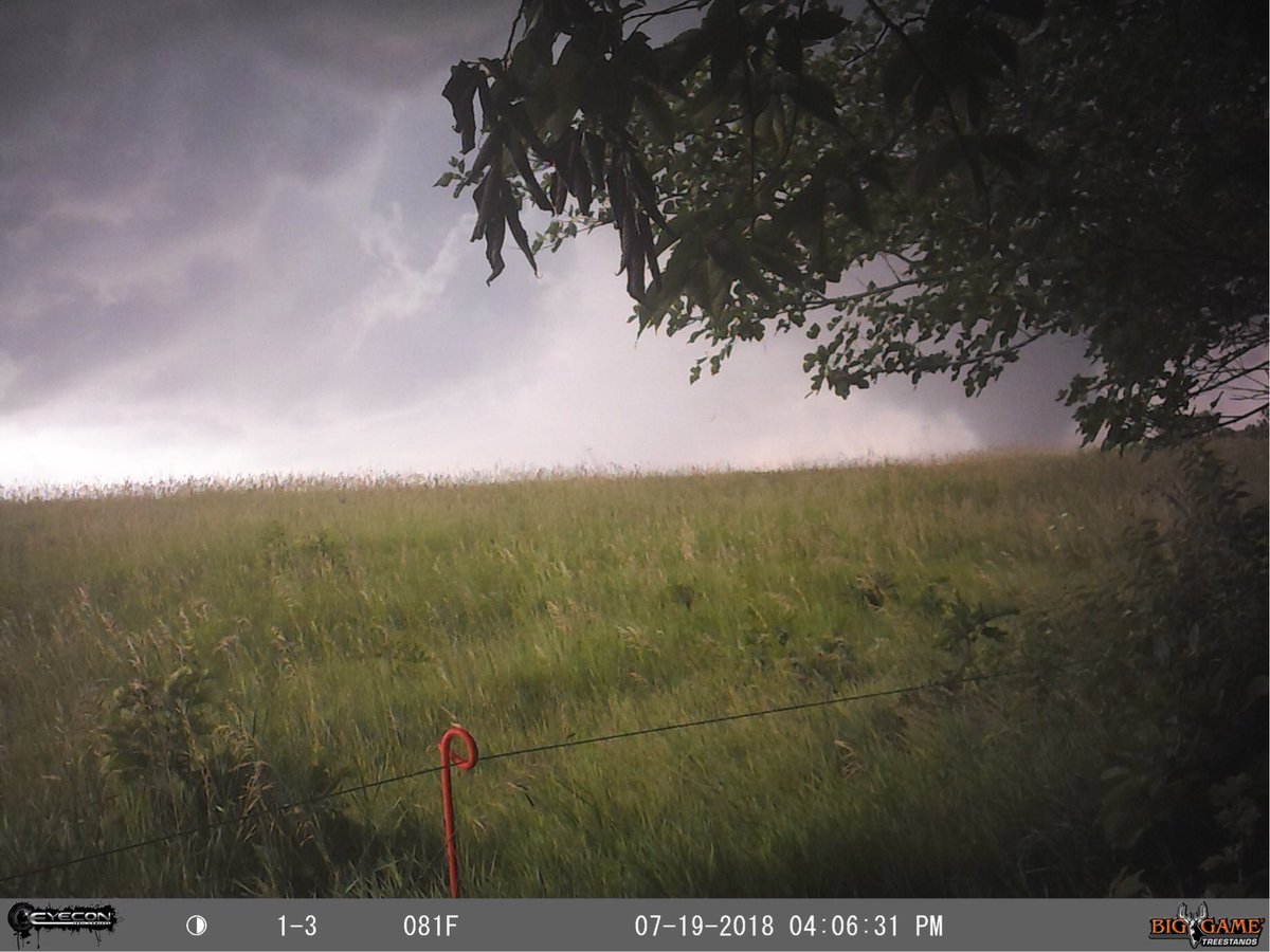 BOWwhitetails's tweet photo. When you get a tornado on cam instead of big velvet bucks. #Tornado #deerhunting https://t.co/sYt2oJ82bK