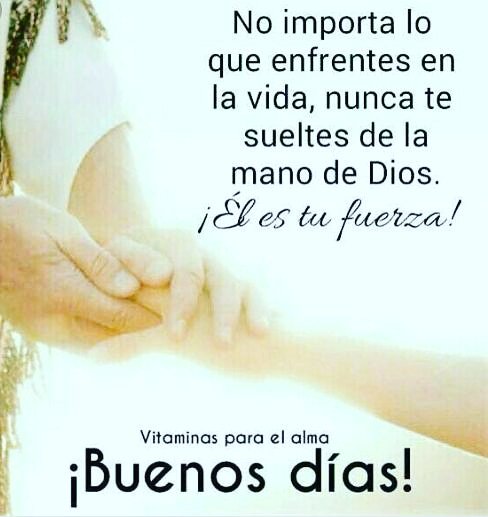 IASDPuebloUnido's tweet photo. Dios te da la fuerza para enfrentar cada situación de esta vida, no dudes sólo cree. #Chimborazeando #PrimeroDios @Chimborazo_IASD @chrisgavilanes @EvangelismoDigi @AdventistasMEN @pastortedwilson https://t.co/c9eJhBsrKe