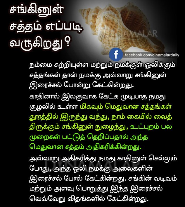 dinamalarweb's tweet photo. சங்கினுள் சத்தம் எப்படி வருகிறது? https://t.co/P40dU8lcvb