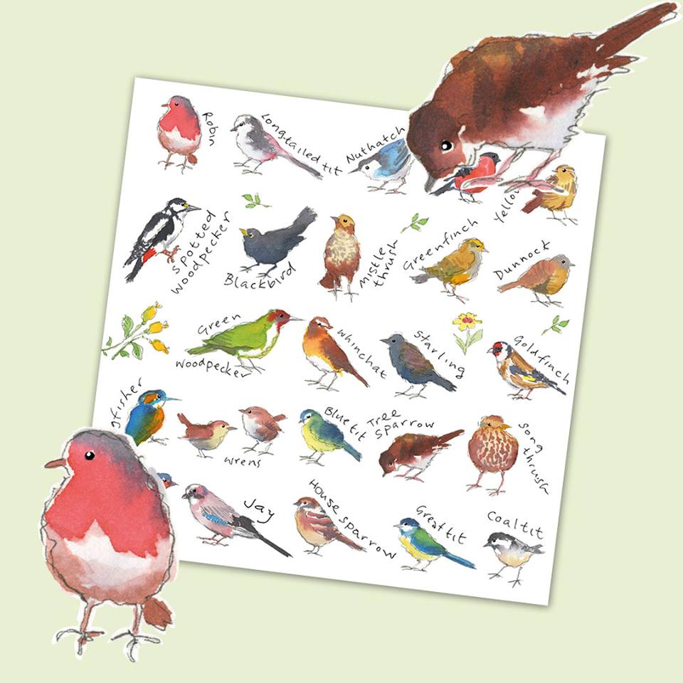 allysonscards's tweet photo. Tweet tweet have a lovely Sunday 🐦
Birds of a feather stick together
https://t.co/bUz2ZYKvaH https://t.co/qy9J63LtHD