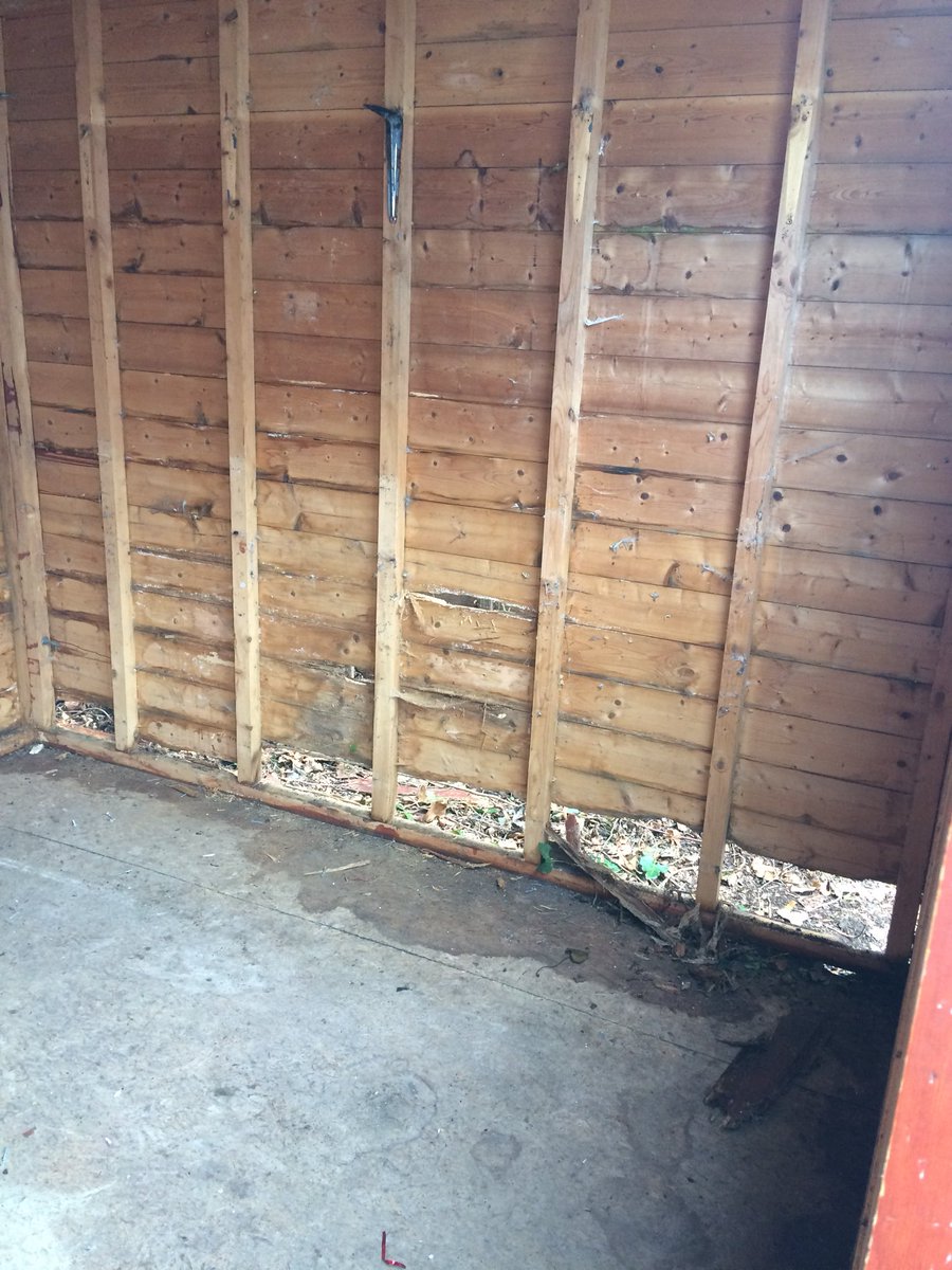 JulieMayer68's tweet photo. Phase One @RitaRobson5  Studio renovation! Rot assessment reveals significant mouse damage! https://t.co/wVblxE3aQ7