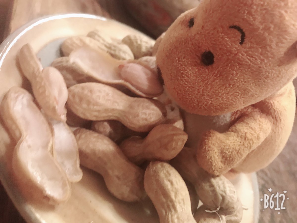 ぴーなっつうりのらくちゃん🥜 #バムとケロ #らくちゃん #おじぎちゃん