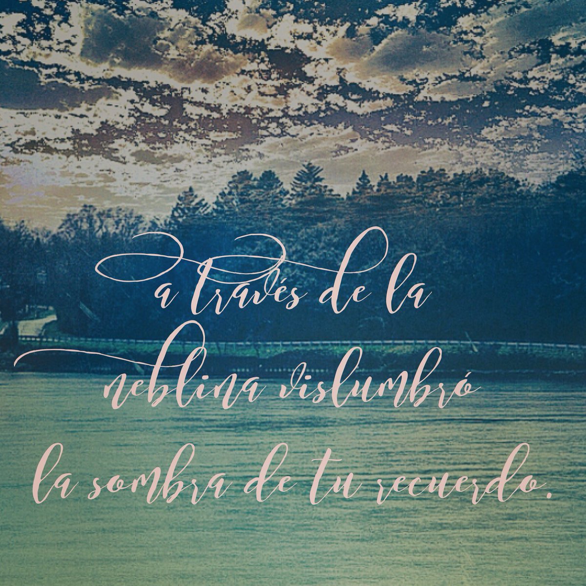 Brendreyes1's tweet photo. Atraves de la neblina vislumbró a sombra de tu recuerdo. #poesia #fotopoema #poetry #roundlakeil https://t.co/Ie4kUIdodY