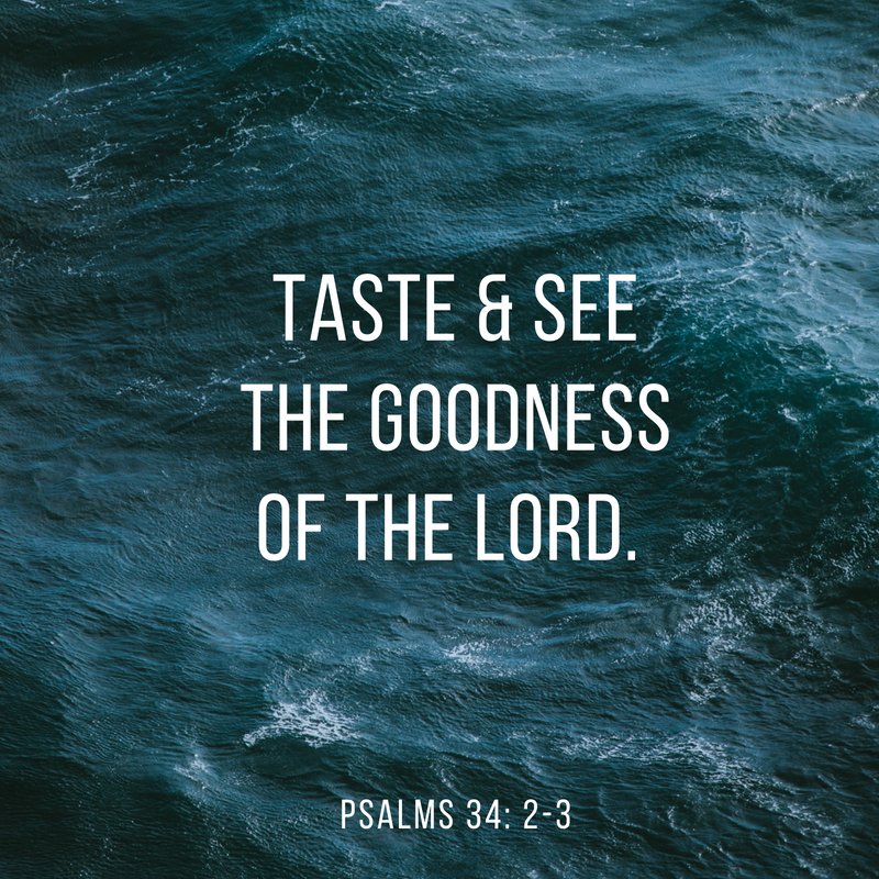 The635Dallas's tweet photo. "Taste and see the goodness of the Lord." Psalms 34: 2-3 #sundayrecap #the635dallas #christian #catholic #oldtestement #dallas #texas #psalms https://t.co/qevoxyUxV1