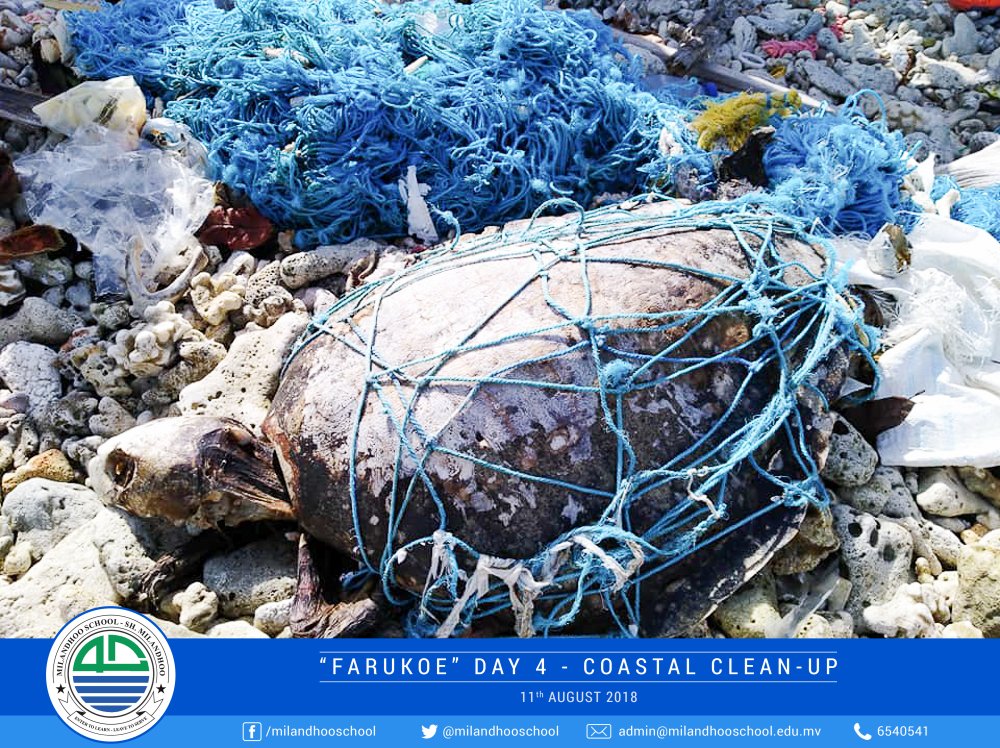 Students of grade 5 &amp; 6 had a coastal clean-up event. 
#FaruKoe - Voice for the Ocean

<a href="/EducationMV/">Antique Furniture Parktown North</a> <a href="/UfaaMv/">Ufaa MoE</a> <a href="/aishathshiham/">Aishath Shiham</a>