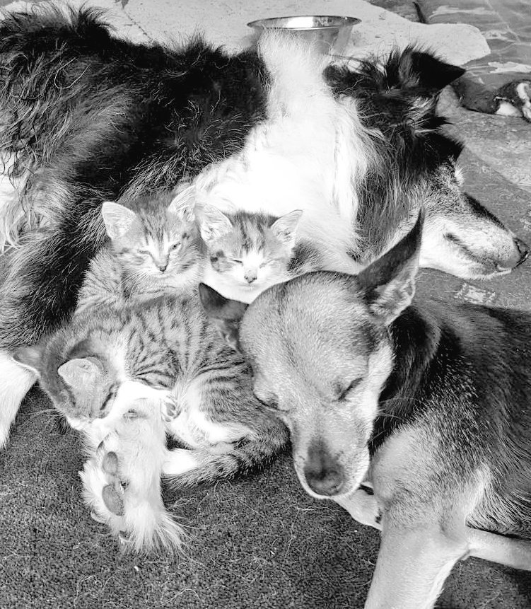 NaomiCarroll13's tweet image. Lá 3/7:7 lá de ghrianghraf dubh/bán. Gan daoine. Gan aon mhíniú. Tabhair dúshlán do dhuine úr gach lá. GRMA @SarahNiC_13 Cuirim ort a @Morey_ChloeJane
Day 3/7:7 days of BW photos - no people, no explanation. Thanks to @SarahNiC_13 I challenge @Morey_ChloeJane #EveryoneCanCeate ❤