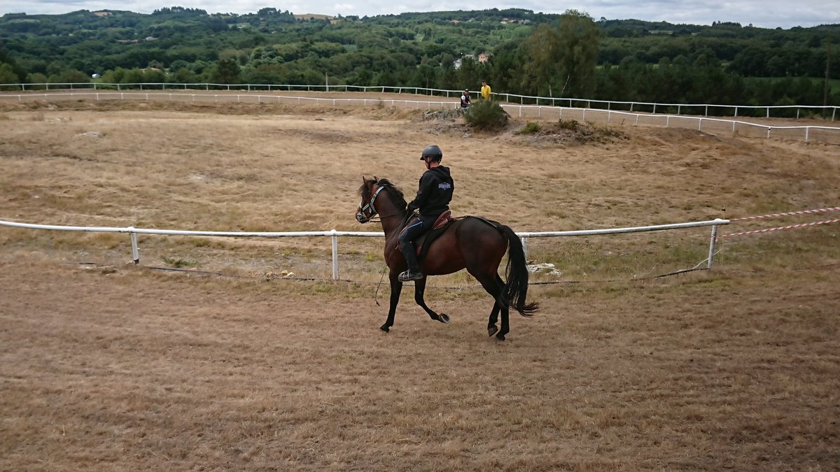 Concellodepalas tweet media