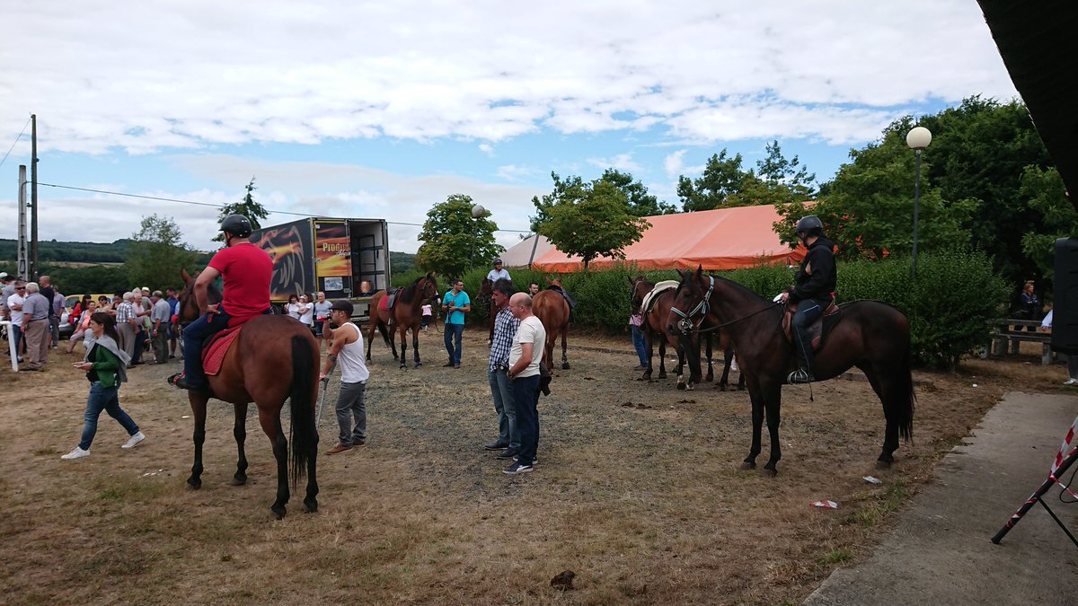 Concellodepalas (@concellopalas) on Twitter photo 