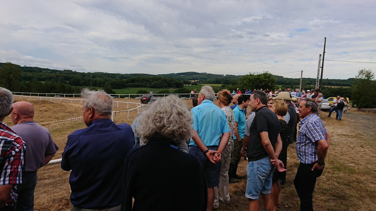 Concellodepalas tweet media