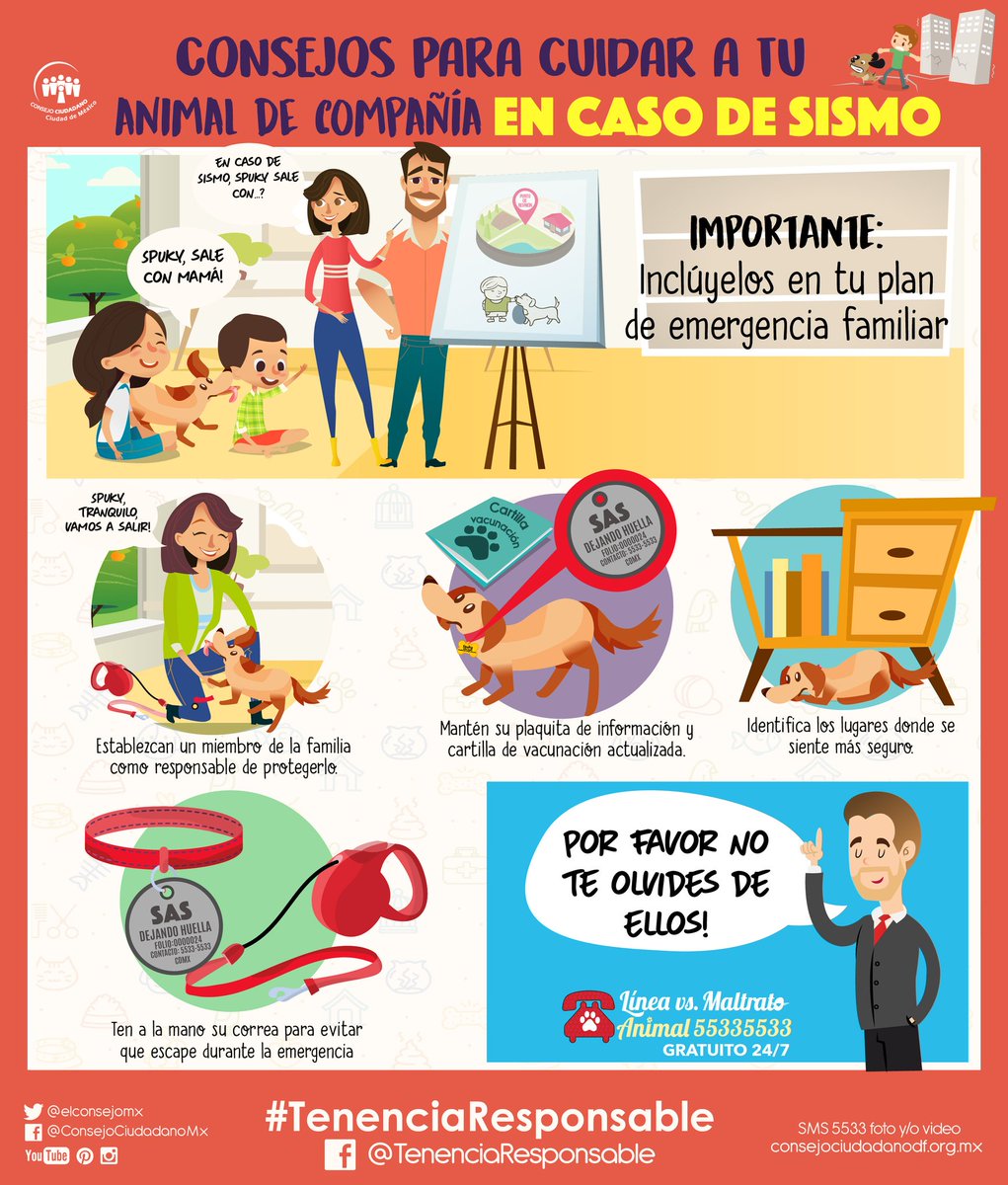 elconsejomx's tweet photo. 🔴 ¿Qué hacer con tu Animal de Compañía en caso de sismo?
🔹No dejes animales amarrados en patios o azoteas, así podrán salir contigo del inmueble.
🔹Acostumbra a tu animal de compañía a entrar y estar en su transportadora
🔹Mantén su placa actualizada #DejandoHuella #SASCDMX https://t.co/F0ejWsj6oO