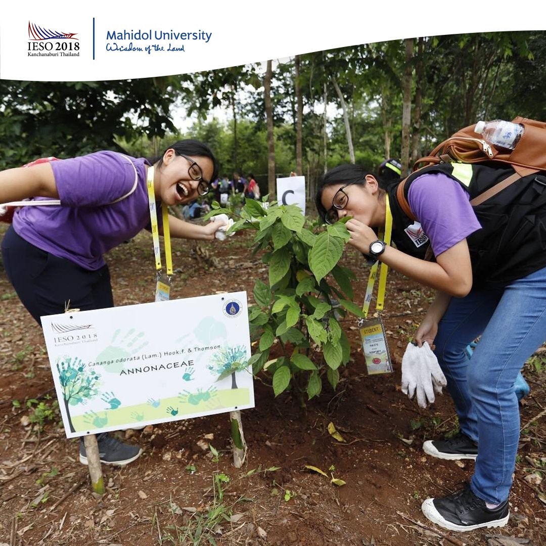 IESO2018 : 12th tweet media