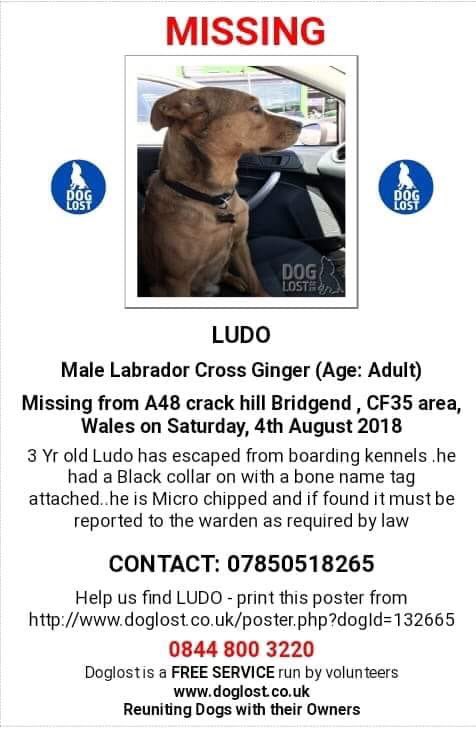 Possible sightings in and around #Ogmorebysea #southerndown #thepelican #ewenny of #FindLudo
