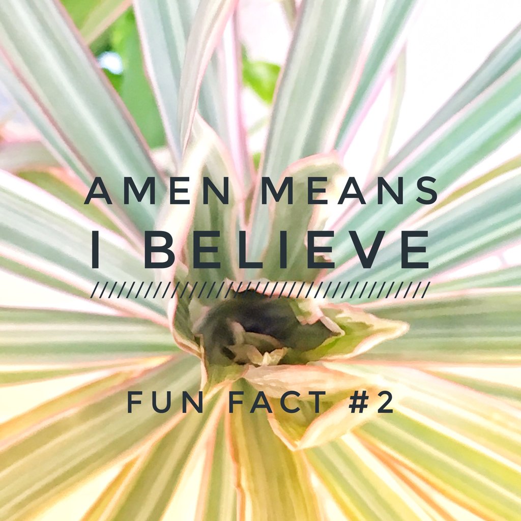 ARISE_STA's tweet photo. Amen means “I believe.”  Continue to learn a new fact every Sunday about our faith through the interesting and never ending knowledge the Catholic Church has to offer! #fun #fact #2 #Sunday #we #believe #Amen https://t.co/ZPMWtAx9Pg