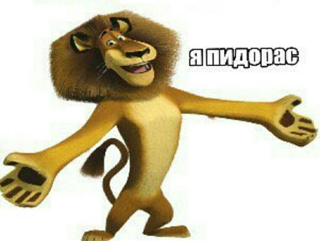 катя кэтти tweet media