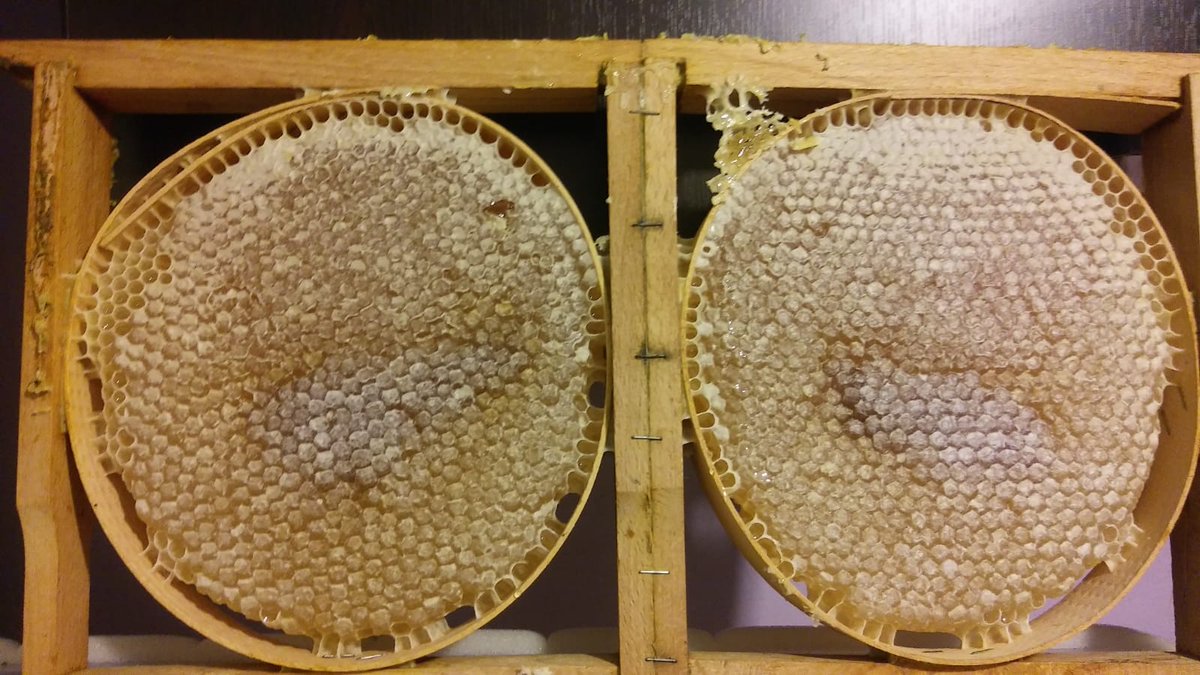 İade garantili kapıya teslim glikozsuz şekersiz Erzincan kır çiçek balı TV'lerde satılanlarla karıştırmayın İADE GARANTİSİ VERİYORUM..... Dm den iletişime geçebilirsiniz