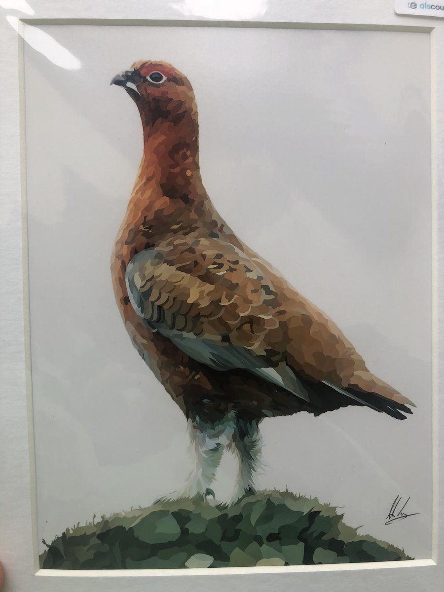 newlandfarm's tweet photo. TheGlorious12th #LowFlyer #Grouse @alscouzens https://t.co/qwmgpCVXrn
