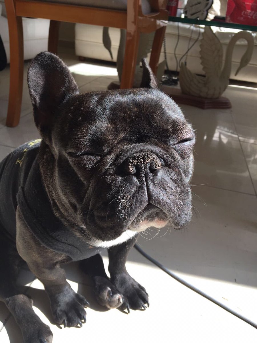 FrankkasterX's tweet photo. Quien le dio de fumar a olivia? https://t.co/584uYahsAq