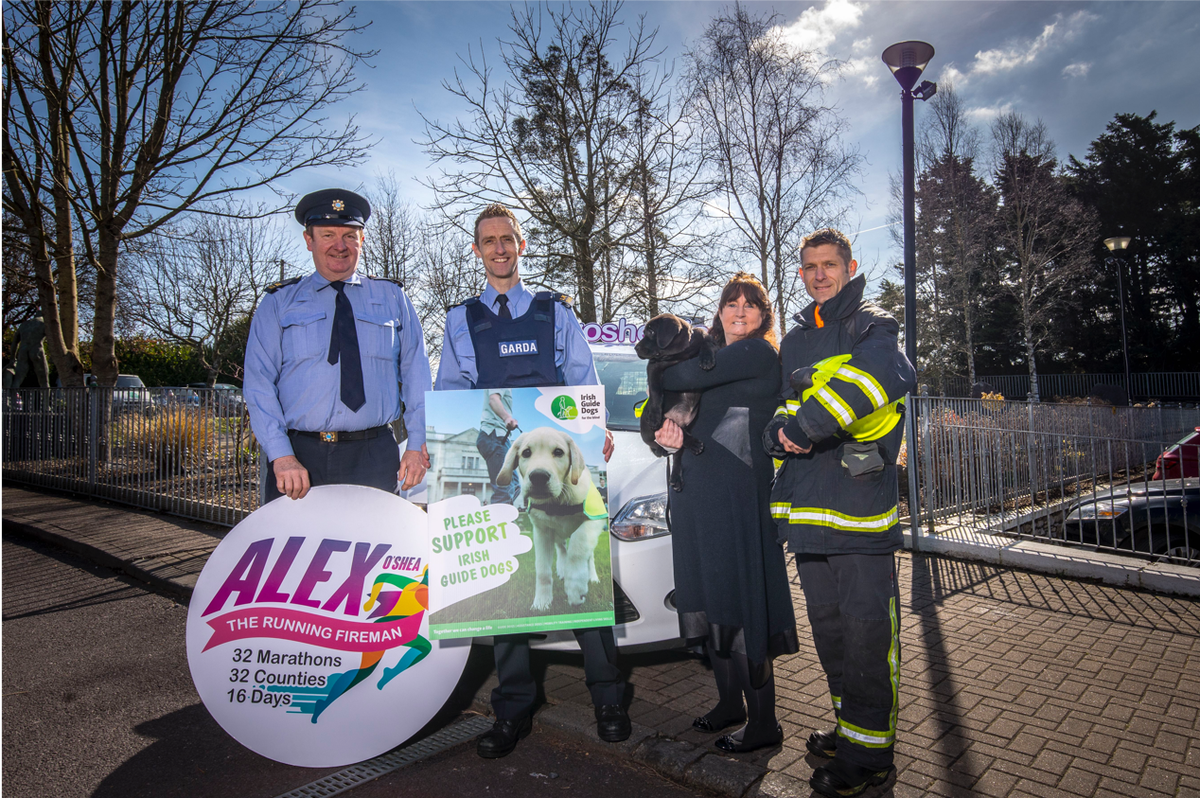 Irish Guide Dogs for the Blind (@irishguidedogs) on Twitter photo 32 Marathons in 32 Counties in 16 Days! Sat, 1 September Cork firefighter <a href="/Greatfirerun/">challengeAlex</a> is setting off on a challenge like no other. He is looking for people to run with him! All in aid of Irish Guide Dogs for the Blind. Learn more at: alexoshea.ie 32 Marathons in 32 Counties in 16 Days! Sat, 1 September Cork firefighter <a href="/Greatfirerun/">challengeAlex</a> is setting off on a challenge like no other. He is looking for people to run with him! All in aid of Irish Guide Dogs for the Blind. Learn more at: alexoshea.ie