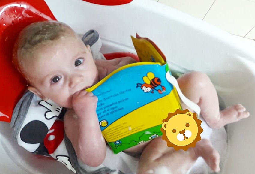 ¡Libritos para la hora del baño! #paraelagua #EditorialGuadal #elgatodehojalata #agua #books #libritos #babies #booksforbabies #ellibrodelosanimales #animales
