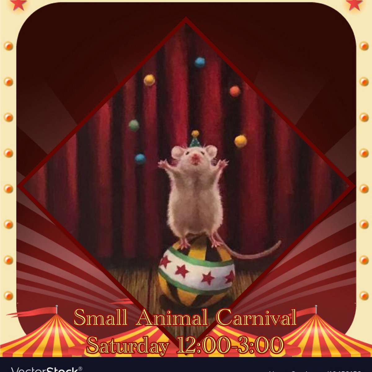 petsmart510's tweet photo. Hey @TownOfCastleton, get your passports ready &amp; get them stamped at our Small Animal Carnival! Join us this Saturday from 12-3 for fun, samples and savings! 🐹🐭🎉

@PetSmart @LifeatPetSmart #petsmartparties https://t.co/OOujFTNGCU